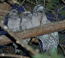 BIG4 Kelso Sands Holiday Park