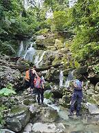 Golden Forest Homestay