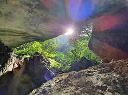 Golden Forest Homestay