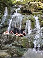 Golden Forest Homestay