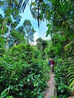 Golden Forest Homestay