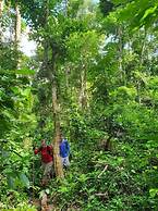 Golden Forest Homestay