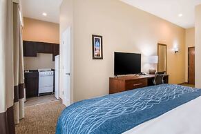 Comfort Inn & Suites Harrisburg - Hershey West