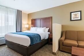 Comfort Inn & Suites Harrisburg - Hershey West