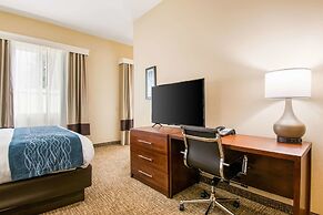 Comfort Inn & Suites Harrisburg - Hershey West