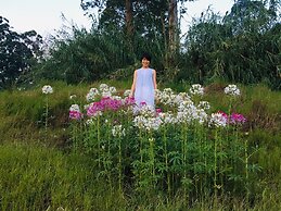 Butterfly Mountain Lake Side
