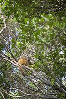 Manafiafy Beach & Rainforest Lodge