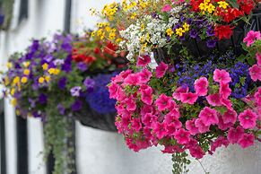 The Horse & Farrier Inn and The Salutation Inn