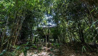 Uravu Bamboo Grove