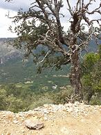 Pensión Arroyo de La Teja