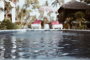 El Jardin de Shambala