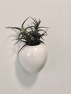 Karee Manor Guesthouse