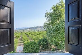 Orange Grove Villa