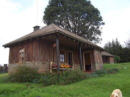 Castle Forest Lodge
