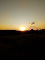 Guaduales del café 304