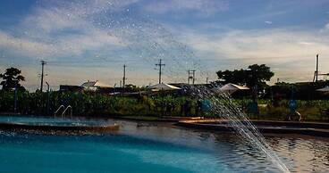 Guaduales del café 304