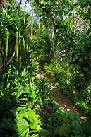 Mandala Spa and Resort Villas