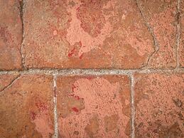 Bright Apartments Verona - Cattaneo Historical