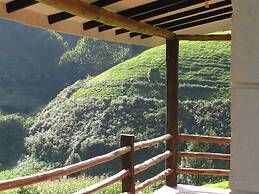 Kimakia Tea Cottages