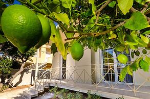 Glyfada  Aquarius Big Garden Villa