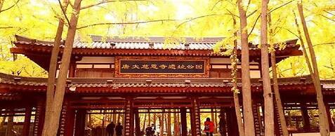 Ibis Xi'an Jianzhang Road Fengdong New Area Hotel