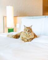 Sofitel Mexico City Reforma