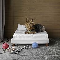 Sofitel Mexico City Reforma