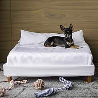 Sofitel Mexico City Reforma