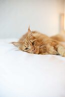 Sofitel Mexico City Reforma