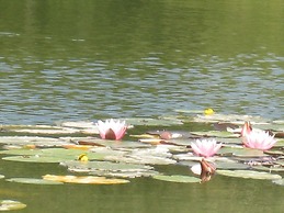 Colston Hall Farmhouse B&B