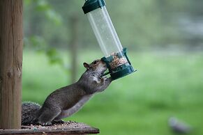 Colston Hall Farmhouse B&B