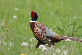 Colston Hall Farmhouse B&B