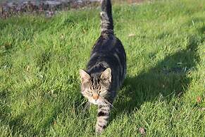 Colston Hall Farmhouse B&B