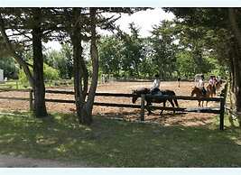 Camping Le Sous Bois