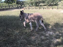 Cascina Il Bricco