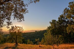 Agriturismo Podere Rondinaio