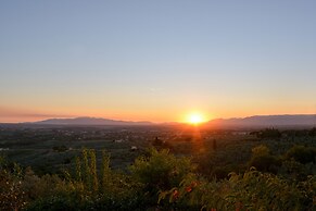 Agriturismo Podere Rondinaio