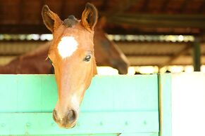 Leão de Judá Charme Hotel