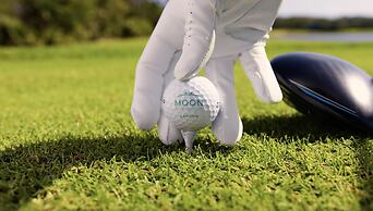 Moon Palace Nizuc - All inclusive