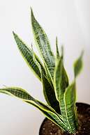 UPSTREET Central Cozy Apartments in Plaka