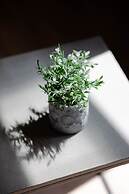 UPSTREET Central Cozy Apartments in Plaka