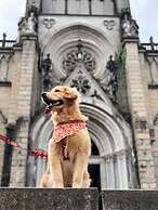 Pousada Dom Petrópolis