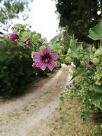 B&B Gli Archi Country Home