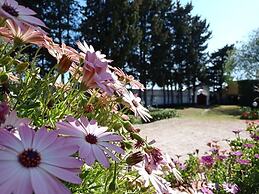 B&B Gli Archi Country Home