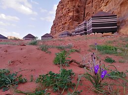 Wadi Rum Desert Tours Camp