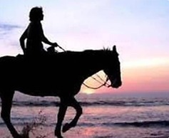 The North Coast Relaxation