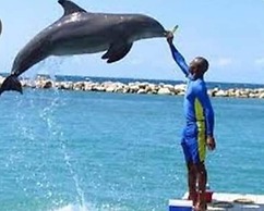 The North Coast Relaxation