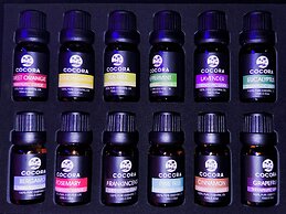 House of Mosaic Boutique Hotel Aruba