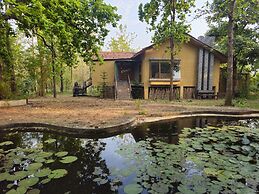 The Celebration Van Vilas Kanha