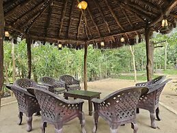 The Celebration Van Vilas Kanha